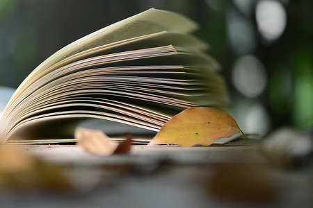 中國海洋大學農業管理非全日制研究生報考流程詳解