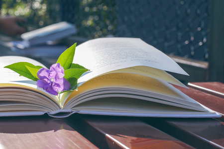 中國科學院心理研究所心理學在職博士學制學費 中國科學院心理研究所心理學在職博士學制學費