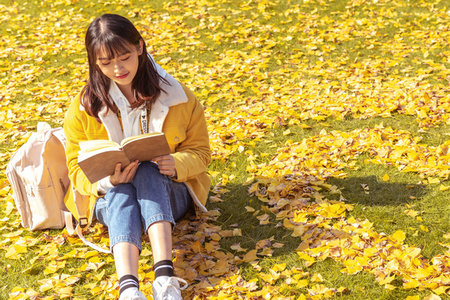 河南科技大學(xué)畜牧非全日制研究生招生時(shí)間