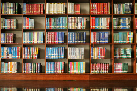 重慶師范大學同等學力申碩招生專業(yè) 重慶師范大學同等學力申碩招生專業(yè)