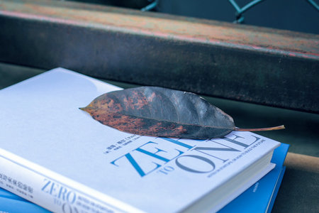 美國(guó)加州多明尼克大學(xué)國(guó)際碩士報(bào)名及考試時(shí)間