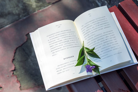 西班牙馬德里康普頓斯大學(xué)國際碩士獲得什么證書 西班牙馬德里康普頓斯大學(xué)國際碩士獲得什么證書