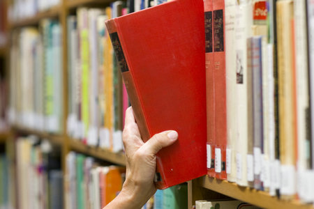 法國蒙彼利埃高等商學院國際博士招生流程