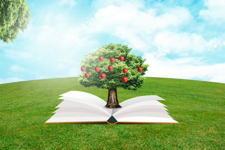 美國紐約理工大學國際博士獲得什么證書