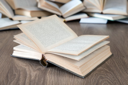 歐洲塞萬提斯大學(xué)國際博士招生時間