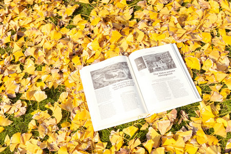 電子科技大學(xué)在職研究生招生時(shí)間 電子科技大學(xué)在職研究生招生時(shí)間