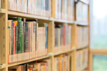 上海外國語大學(xué)MPA報考條件