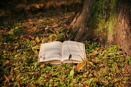 石河子大學(xué)在職研究生考試科目