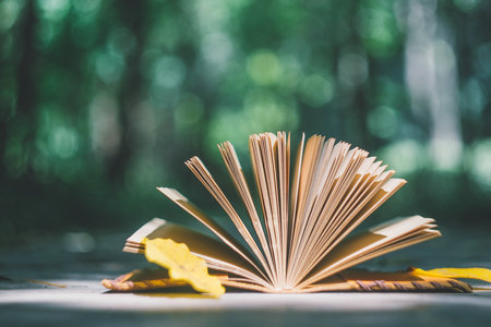 2024年延邊大學MPA招生條件介紹 2024年延邊大學MPA招生條件介紹