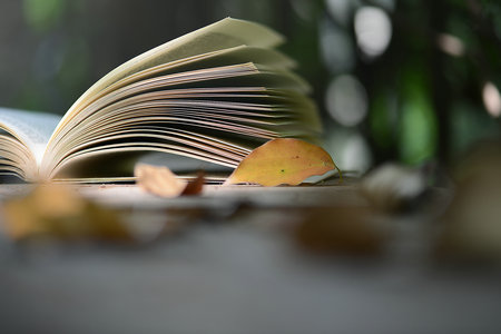 菲律賓永恒大學(xué)國際博士報考條件