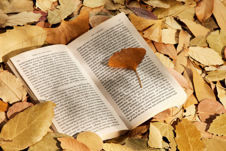 中國(guó)海洋大學(xué)MEM調(diào)劑時(shí)間