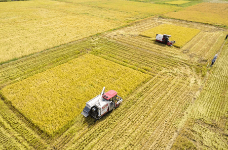 教育部明確了！農業工程類有這7個專業！
